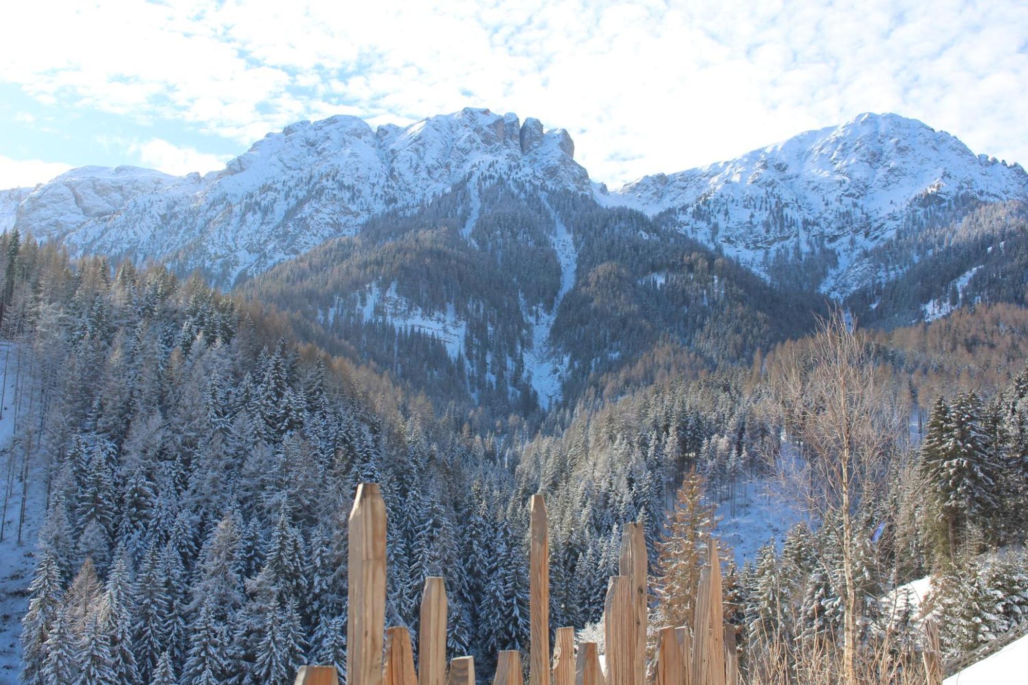 Almresidenz Unterrain -1 Km By Car Distance Ski Slopes Kronplatz Olang Exterior foto
